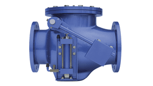 Check Valves Manufacturer